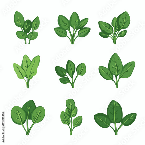 Very Simple flat 2D icon green spinach leaves set isolated on a white background, vector, flat design, vector, flat design, animation design, flat 2D icon, minimalist design, vector
