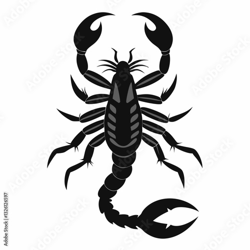 scorpion vector illustration