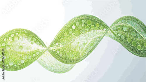Close-up view of an abstract image depicting a double helix or spiral form.  The form is rendered in shades of light and bright green, appearing translucent and slightly textured.  The internal