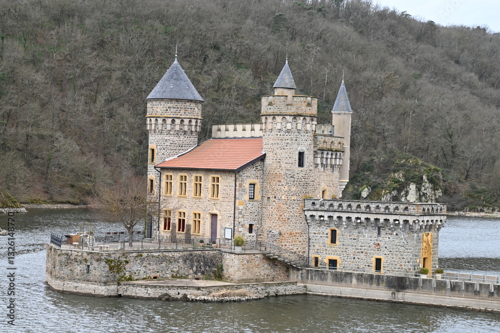 Fototapeta premium St Maurice sur Loire et Château de la Roche