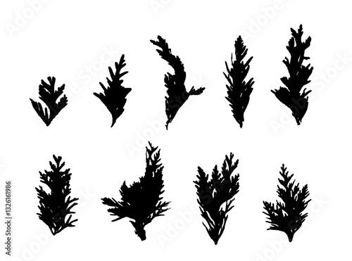 Cypress Twigs Icon, Cupressus Leaf Symbol, Arborvitae Twig, Thuya Sprig Silhouette, Thuja Leaves