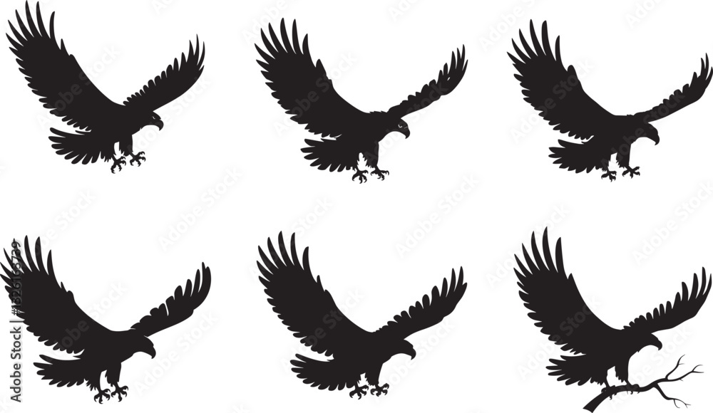 Obraz premium Eagle Silhouette Vector Designs for Creative Projects