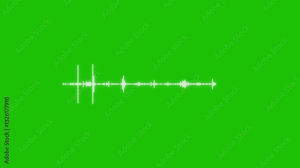 Visualizer Music Audio Wave Spectrum Animation Digital Music Equalizer and Sound Wave Visualization on Green Background