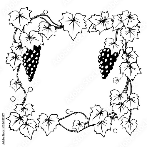 Elegant symmetrical grape vine border with two bunches of purple grapes, outlined leaves and vines on white background.