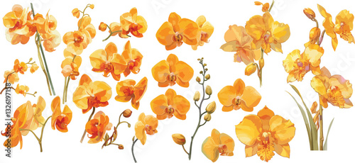 orange orchid watercolor clipart