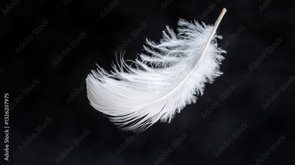 Obraz premium Delicate White Feather Floating Gracefully on Dark Background