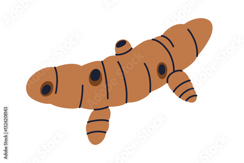 Vector illustration of ginger root or turmeric root in flat cartoon style. Doodle icon for health, cooking, and spice themed design, healthy eating and diet, isolated colored clipart