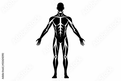human body line art silhouette vector illustration