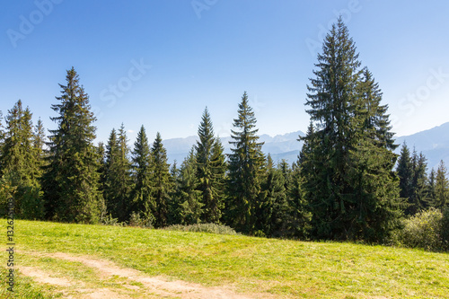 Obraz na płótnie landscape with forest behind the meadow. beautiful view. nature background with blue sky and tatra mountains of poland. summer holiday backdrop w salonie
