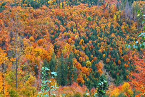 Fototapeta Naklejka Na Ścianę i Meble -  Beskids mountains, autumn landscape in Poland