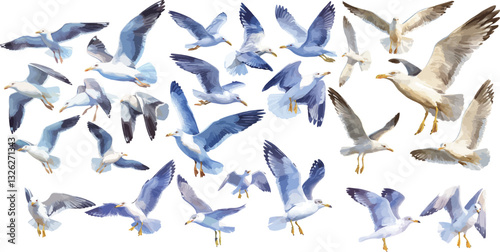 seagull watercolor clipart