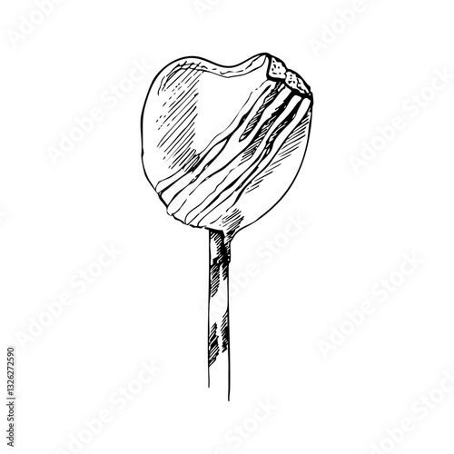 Obraz na płótnie Ice creame vector illustration. Hand drawn dessert. Sketch style. Heart shape. w salonie
