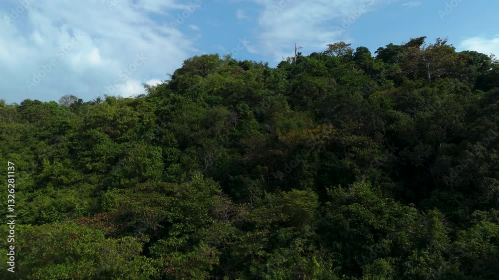 Aerial - lush greenery on Phi Phi Islands with ocean view in Thailand Aerial - lush greenery on Phi Phi Islands with ocean view in Thailand