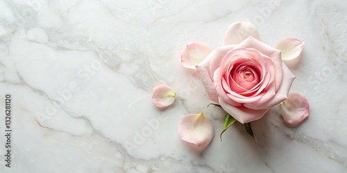 Luxury Minimalist Flat Lay: Single Pink Rose Petal on Marble