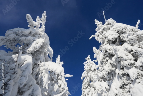 winter mountains with snow beautiful white and blue photo