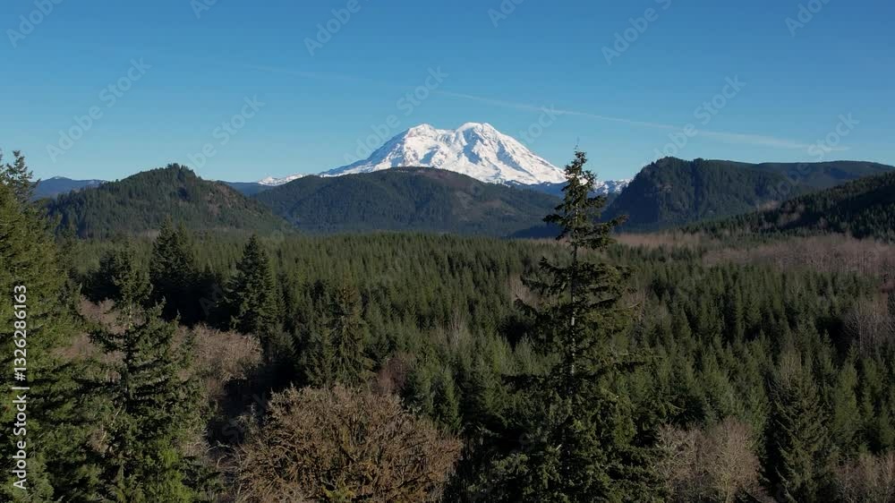 Washington Forest with Mt. Rainer in the distance- aerial ascending Washington Forest with Mt. Rainer in the distance- aerial ascending