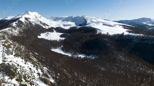 Foto Aerial view of a forest with dry trees
