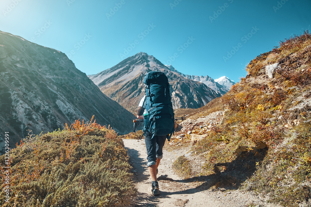 Fototapeta premium Traveler with backpack walks along mountain path alone enjoying an outdoor activity in Himalayas, Nepal.