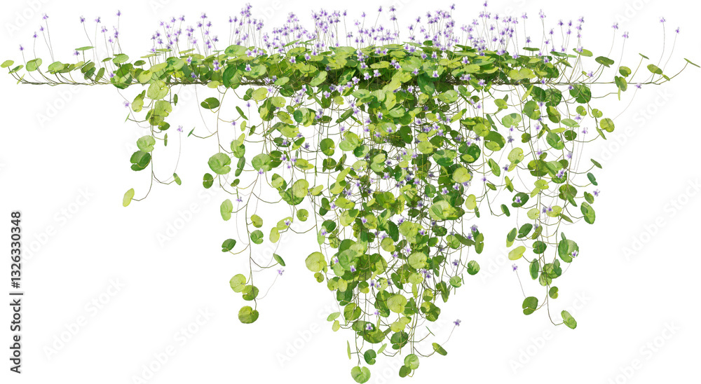 Fototapeta premium Vines, Ivy, Climbing Plants, Wall Plants