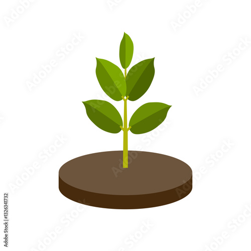Young plant in a ground on a white background