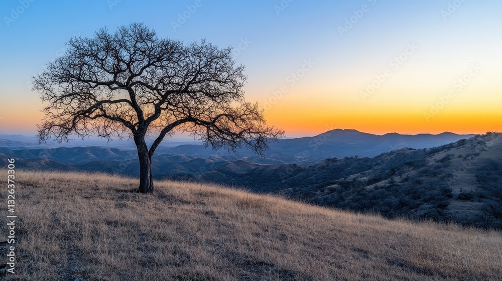Solitary tree at sunset on rolling hills landscape Solitary tree at sunset on rolling hills landscape