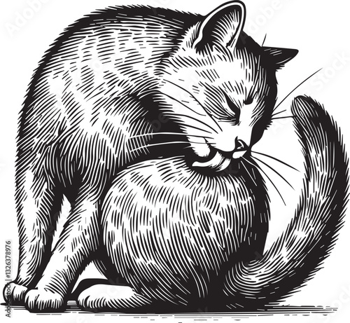 cat licking vector black hand drawn illustration