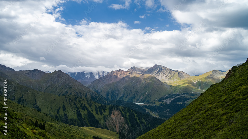 Fototapeta premium rocky mountain peaks in the clouds. cloud cover in the mountains