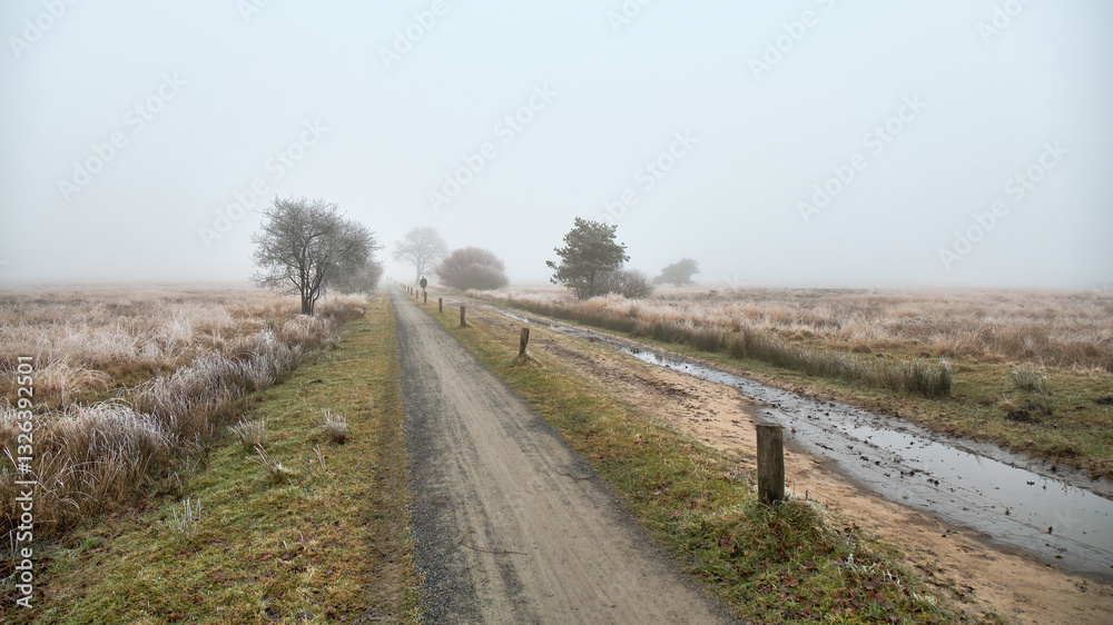Frosty bicycle path and dirt road in misty winter at Dwingelderveld Frosty bicycle path and dirt road in misty winter at Dwingelderveld