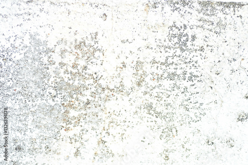 wall or fence, old wall or old fence or cement wall or gray wall , gray background or gray  floor or gray texture