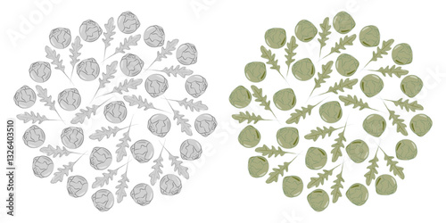 Brussels sprouts Heads and Arugula leaves Monochrome gray and green Circular Background Texture idea