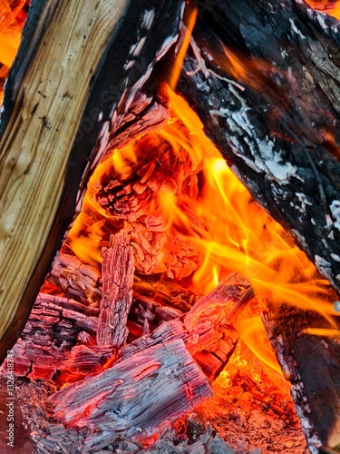 Raging orange flames of fire. Bright flames devour the wood. 