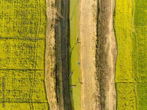 Aerial view of vibrant agricultural fields with a winding canal, Saguna, Tarash, Rajshahi, Bangladesh.