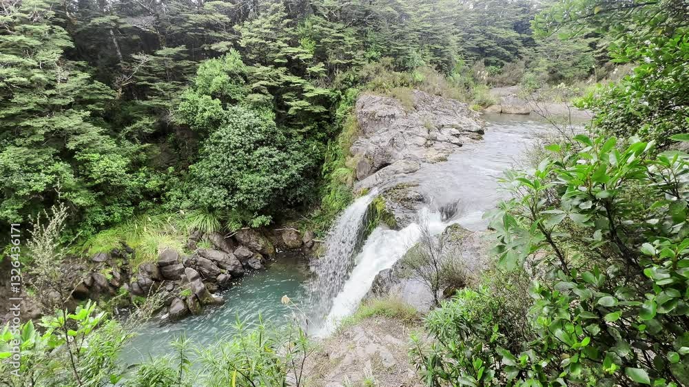 small waterfall cascades into a clear pool surrounded by lush greenery and rocky terrain small waterfall cascades into a clear pool surrounded by lush greenery and rocky terrain