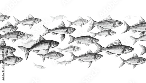 School of Fish Swimming in Synchronized Movement with Scientific Precision
