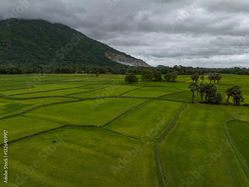 Aerial view of lush green rice fields and serene mountains under a cloudy sky, O Lam, Tri Ton, An Giang, Vietnam.
