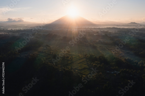 Aerial view of serene rice terraces and lush green fields with sun rays illuminating the landscape, Tegallalang, Gianyar, Bali, Indonesia. photo