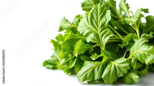 food, tomato, vegetable, vegetables, fresh, healthy, green, pepper, red, salad, diet, vegetarian, lettuce, isolated, tomatoes, onion, cucumber, organic, white, cooking, ingredient, leaf, parsley, heal