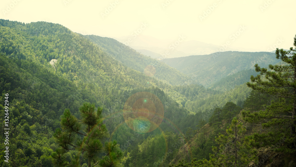 Naklejka premium Mountain Landscape View 
