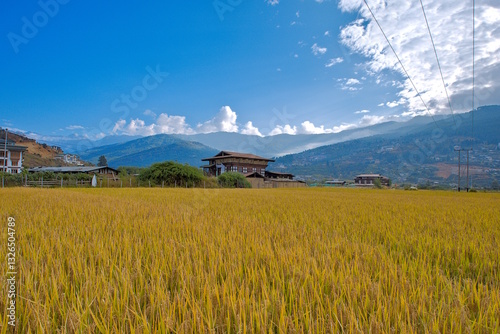Jangtsa Dumtseg Lhakhang in Paro City, Bhutan