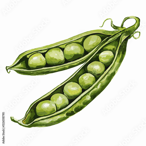 Watercolor Illustration of Fresh Green Pea Pods