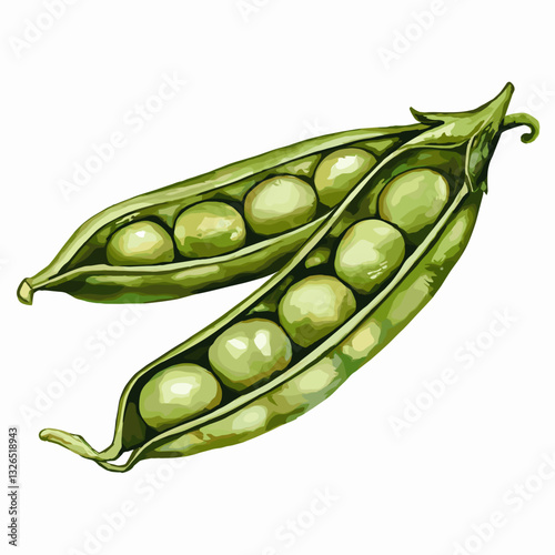 Watercolor Illustration of Fresh Green Pea Pods