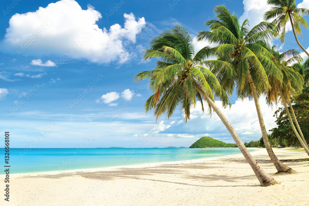 palm tree on the beach palm tree on the beach