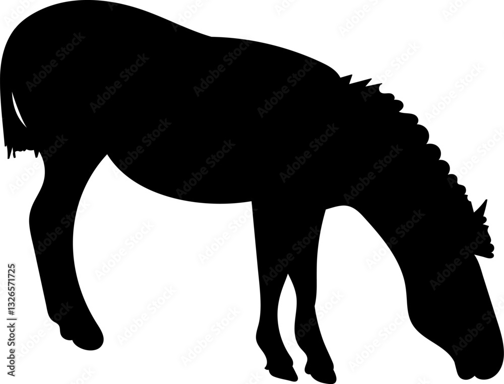 Fototapeta premium zebra silhouette, vector on white background