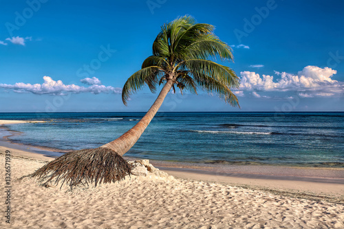 Fototapeta Naklejka Na Ścianę i Meble -  tropical beach with palm trees
