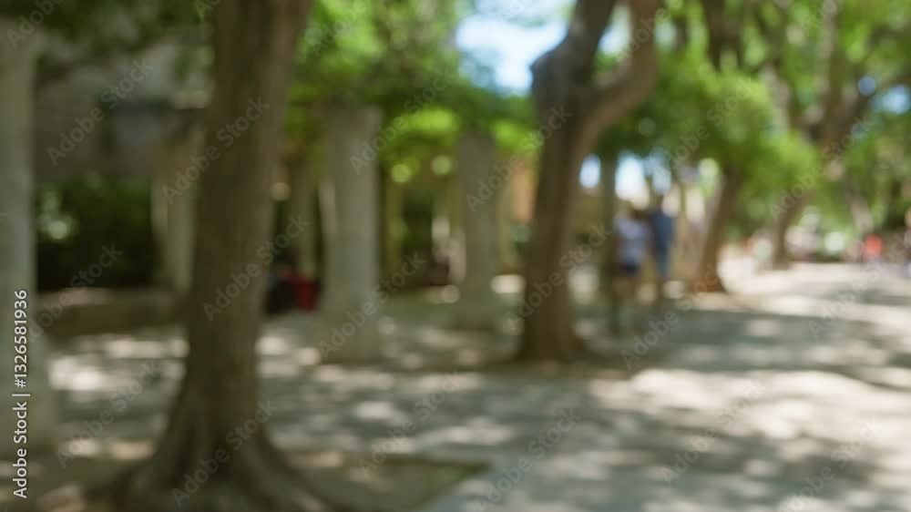 Blurred outdoor scene in mallorca with people walking under the bokeh effect of the trees, creating a defocused and dreamy quality in a sunlit park Blurred outdoor scene in mallorca with people walking under the bokeh effect of the trees, creating a defocused and dreamy quality in a sunlit park