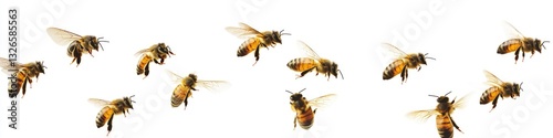 A swarm of bees flying at different angles