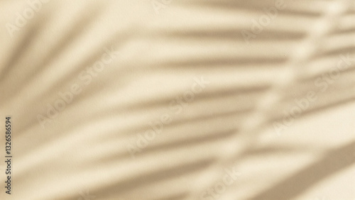 A minimalist aesthetic background with soft palm leaf shadows on a light beige wall