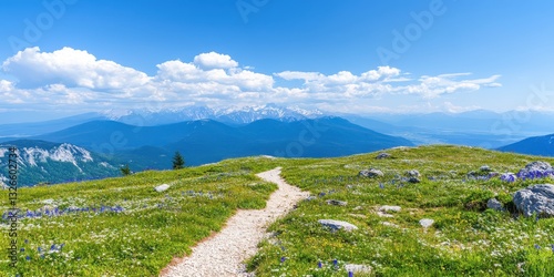 Fototapeta Naklejka Na Ścianę i Meble -  Hills of Romania banner