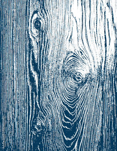 wooden texture vector