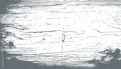 wooden texture vector